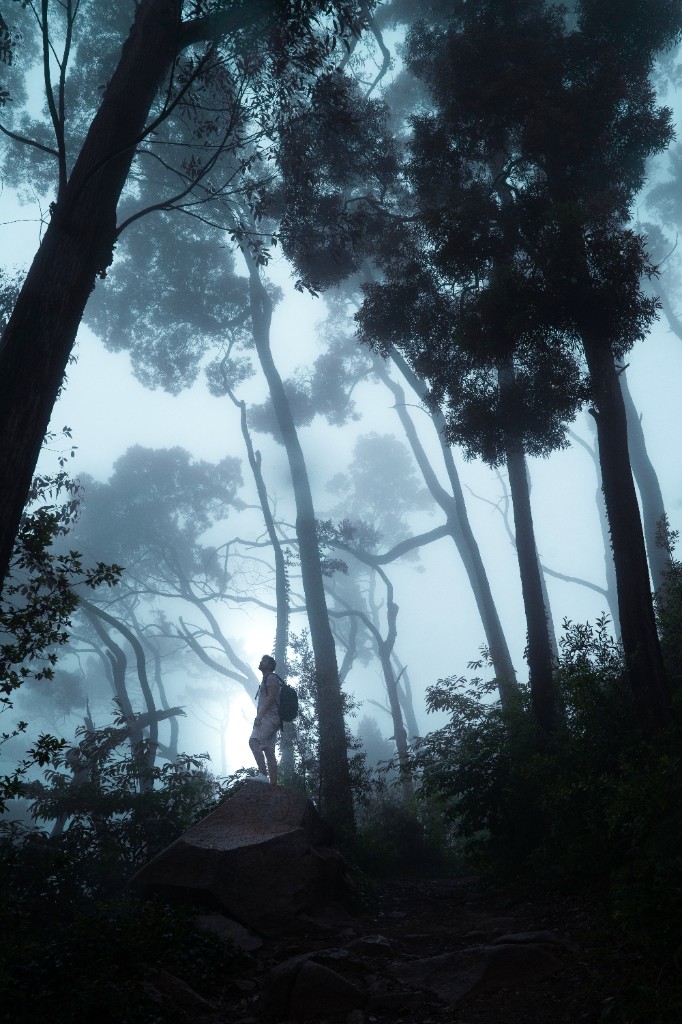 Ayoub El Fatni in the forest