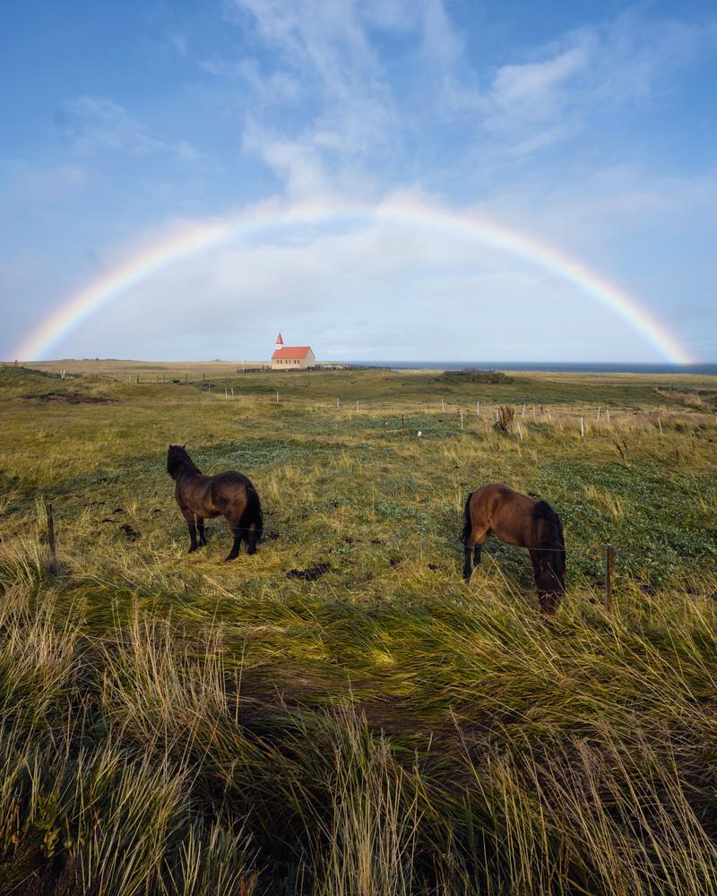 Pasture Rainbow