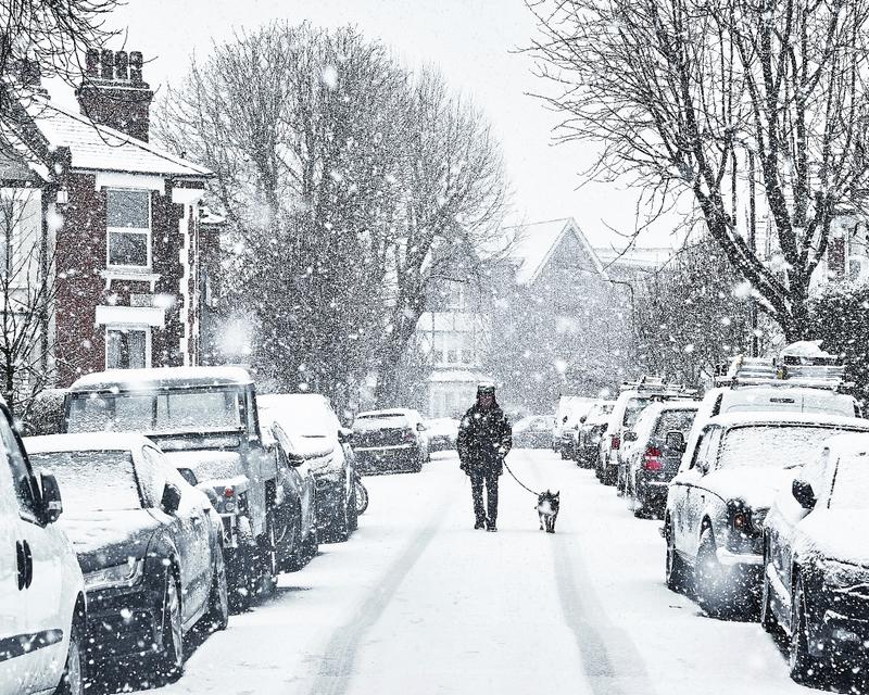Snow Walk