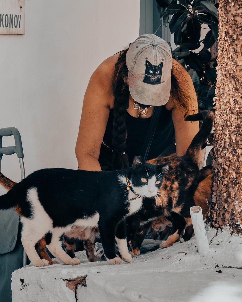 The Cat Keeper