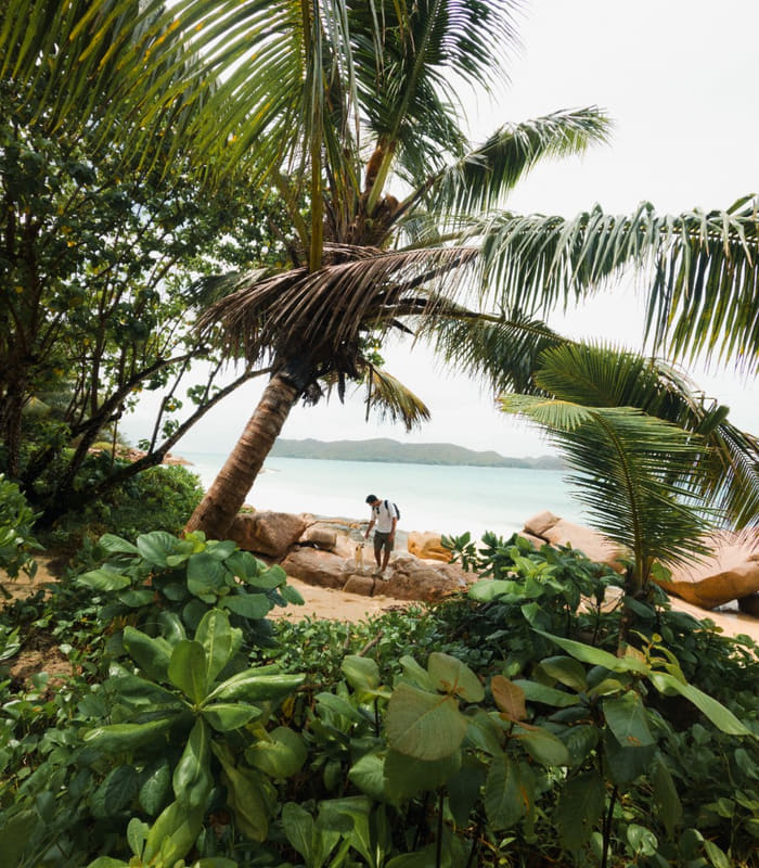 Island Outlook