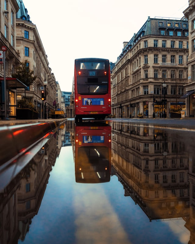 Bus Reflection